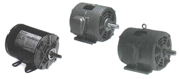 Crusher Duty Motors